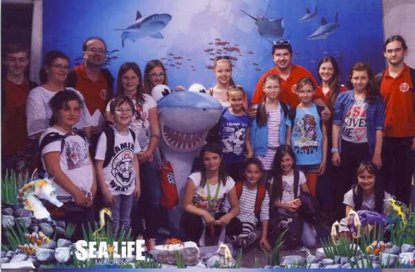 4 Sealife