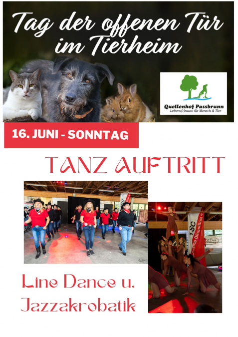 Auftritte im Tierheim 2024